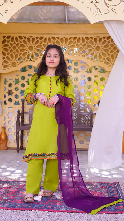 3 piece Dhani(Green) Embroidered Cotton Airline Frock Suit with Purple Chiffon Dupatta & Laces.(Stitch)