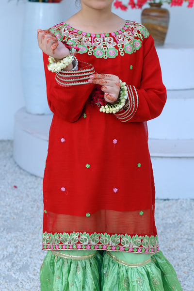 3 piece Reddish Maroon Chiffon Embroidery Gharara Suit with Pistachio Green Chiffon Dupatta & Gharara with Laces.(Stitch)