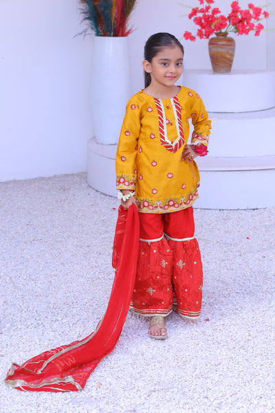 3 piece Mustered Raw Silk Gharara Suit with Reddish Maroon Crush Embroidery Gharara & Reddish Maroon Chiffon Dupatta.(Stitch)