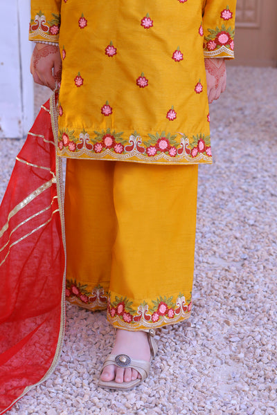 3 piece Mustered Raw Silk Embroidered Plazo Suit with Reddish Maroon Chiffon Dupatta.(Stitch)