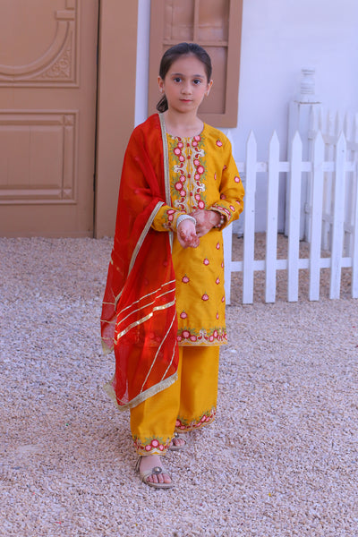 3 piece Mustered Raw Silk Embroidered Plazo Suit with Reddish Maroon Chiffon Dupatta.(Stitch)