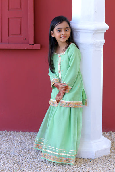 3 piece Pistachio Green Lehenga Suit with Baby Pink Dupatta.(Stitch)